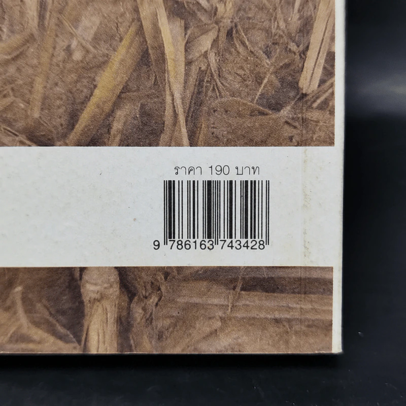 เซ็กส์กับความรักของคนขี้อาย - โจน จันใด รูปที่ 12