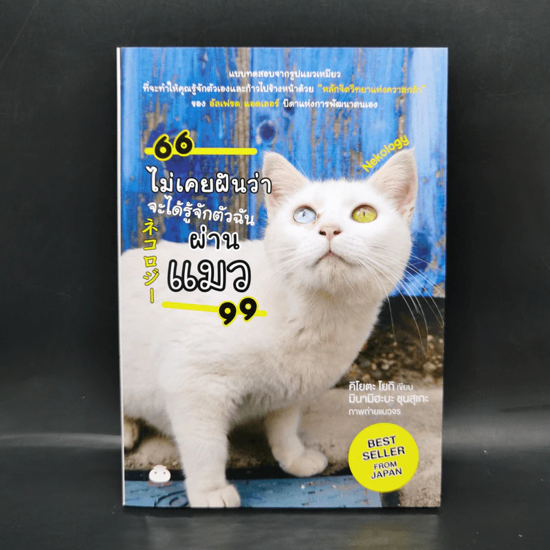 ไม่เคยฝันว่าจะได้รู้จักตัวฉันผ่านแมว - Kiyota Yoki (คิโยตะ โยกิ) รูปที่ 1
