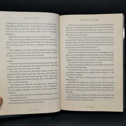 Empire of Storms - Sarah J. Maas รูปที่ 9