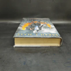 Empire of Storms - Sarah J. Maas รูปที่ 6