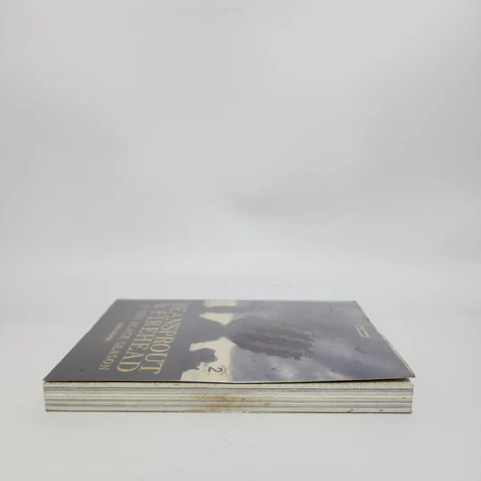 Beansprout & Firehead II In the black season ถั่วงอกและหัวไฟ เล่ม 2 ในฤดูกาลสีดำ - ทรงศีล ทิวสมบุญ รูปที่ 3