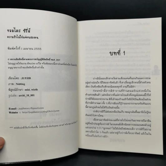 นิยายวาย จอมไตรซีรี่ส์ 3 เล่ม - Jupjib รูปที่ 13