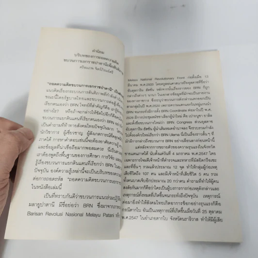 ถอดความคิดขบวนการเอกราชปาตานี - รุ่งรวี เฉลิมศรีภิญโญรัช รูปที่ 10