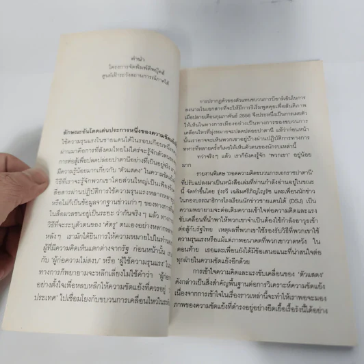 ถอดความคิดขบวนการเอกราชปาตานี - รุ่งรวี เฉลิมศรีภิญโญรัช รูปที่ 8