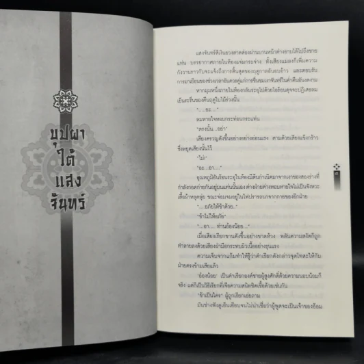 นิยายวาย บุปผากลางจันทรา + บุปผาหลังเงาจันทร์ + บุปผาใต้แสงจันทร์ รูปที่ 9