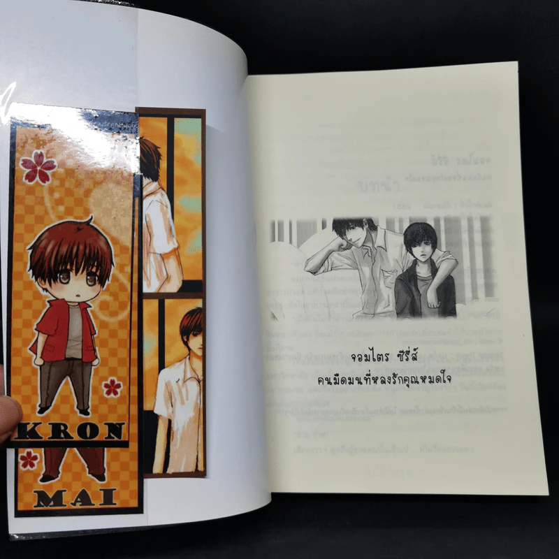 นิยายวาย จอมไตรซีรี่ส์ 3 เล่ม - Jupjib รูปที่ 7