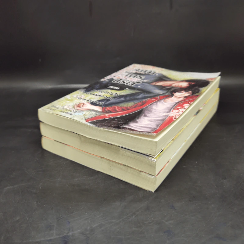 นิยายวาย จอมไตรซีรี่ส์ 3 เล่ม - Jupjib รูปที่ 6