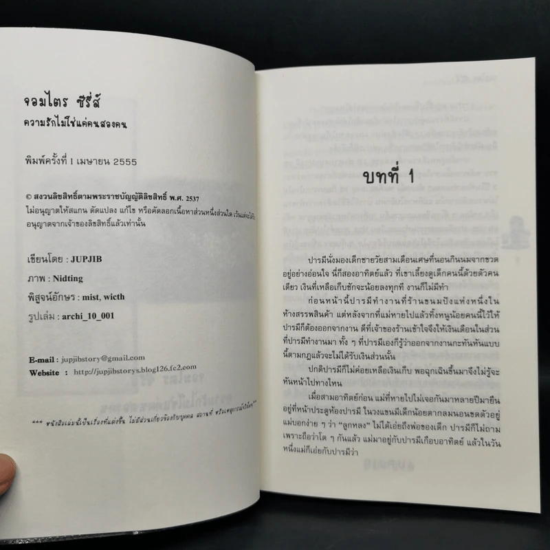 นิยายวาย จอมไตรซีรี่ส์ 3 เล่ม - Jupjib รูปที่ 13