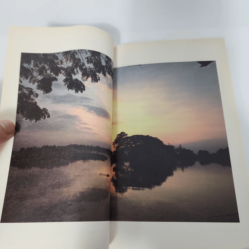 หัวไผ่ - วีรวรรณ ศิริวัฒน์ รูปที่ 9