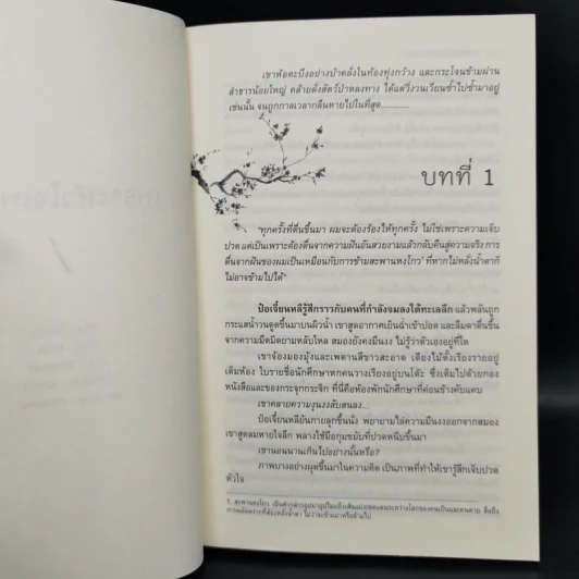 นิยายวาย เพราะหัวใจเพรียกหา 2 เล่มจบ - ไป่อวิ๋น รูปที่ 8