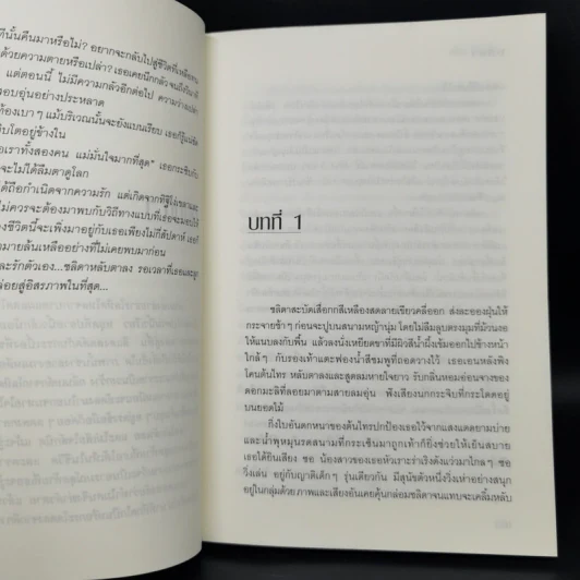 ชลิดา Chalida - ศลิสา ปิ่นขยัน รูปที่ 10