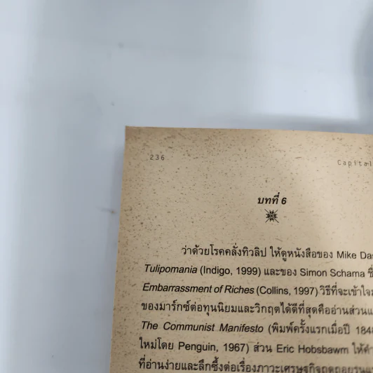 ทุนนิยม Capitalism : ความรู้ฉบับพกพา - James Fulcher รูปที่ 10