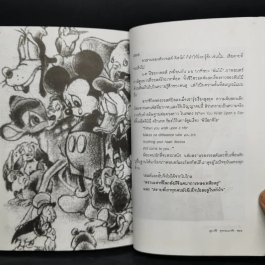 มหัศจรรย์วอลต์ดิสนีย์ - ศุภาศิริ สุพรรณเภสัช รูปที่ 10