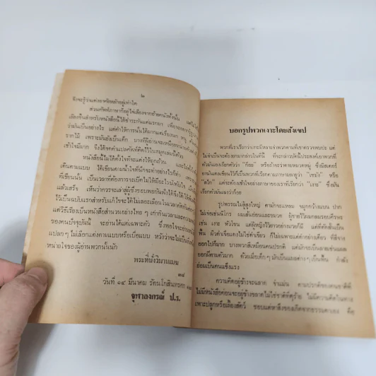 เงาะป่า - พระบาทสมเด็จพระจุลจอมเกล้าเจ้าอยู่หัว รูปที่ 8