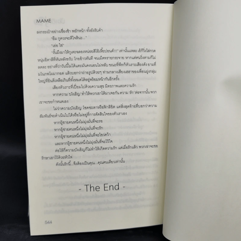นิยายวาย My Accidental Love is You รักนี้บังเอิญคือคุณ 2 เล่มจบ + Special - MAME รูปที่ 10