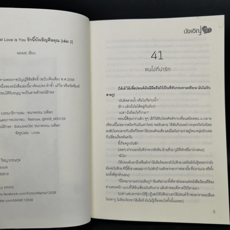 นิยายวาย My Accidental Love is You รักนี้บังเอิญคือคุณ 2 เล่มจบ + Special - MAME รูปที่ 9