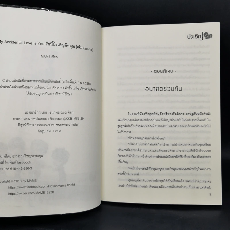 นิยายวาย My Accidental Love is You รักนี้บังเอิญคือคุณ 2 เล่มจบ + Special - MAME รูปที่ 11