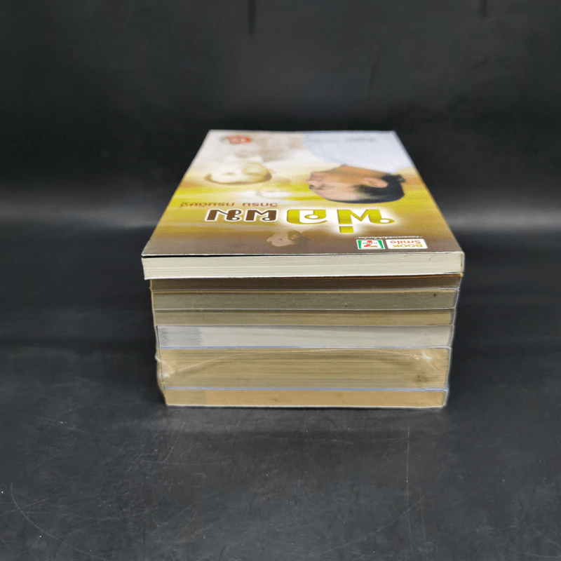 รวมหนังสือวิกรม กรมดิษฐ์ 7 เล่ม + กระเป๋าผ้า รูปที่ 6