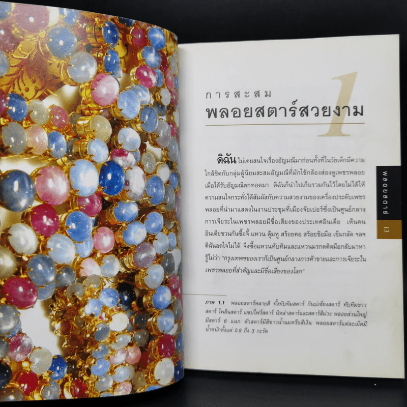 พลอยสตาร์ - พรทิพย์ โล่ห์เลขา รูปที่ 10