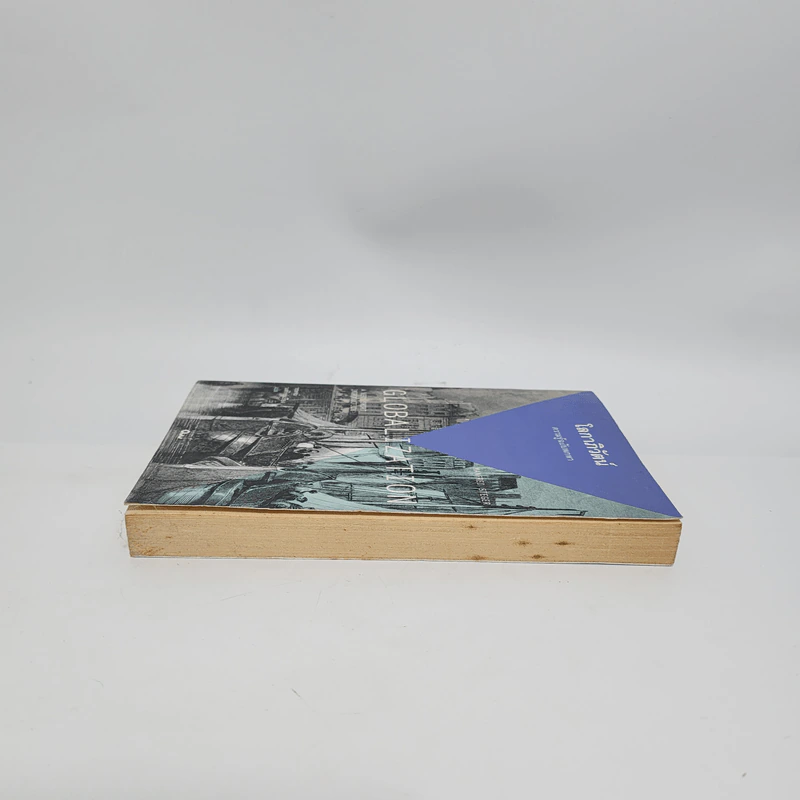 โลกาภิวัตน์ : ความรู้ฉบับพกพา - Manfred B. Steger (แมนเฟร็ด บี. สเตเกอร์) รูปที่ 3