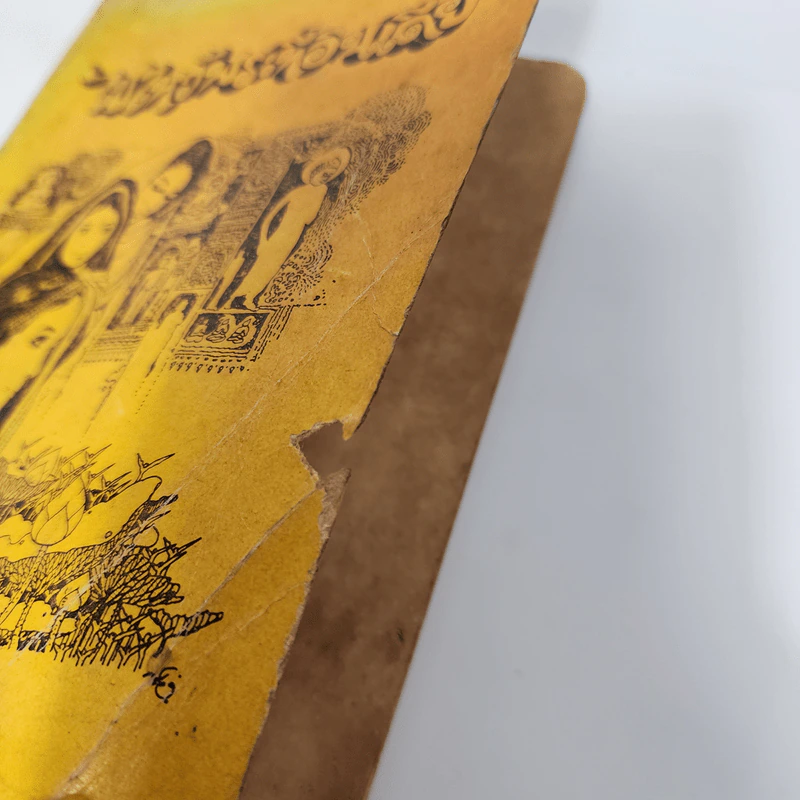 ไปไหว้พระที่อินเดีย - มนูญ ธารานุมาศ (อนุสรณ์งานฌาปนกิจศพแม่บุญมา หิรัญ) รูปที่ 7