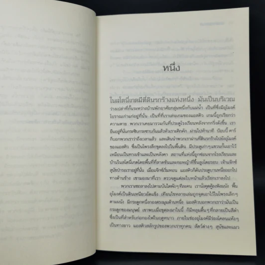 เกมความตาย - David Almond รูปที่ 9