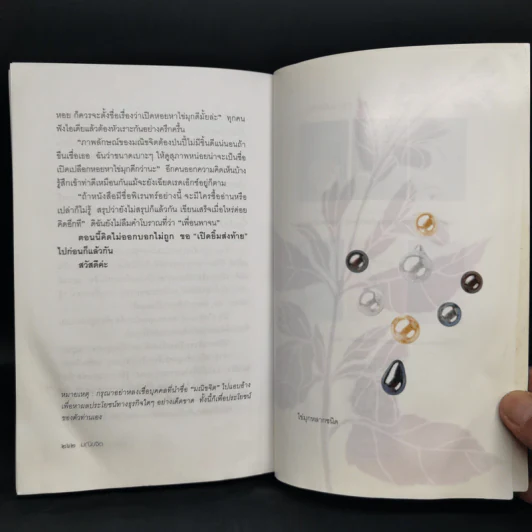 เปิดอกแม่ค้าพลอย - มณิขจิต รูปที่ 13