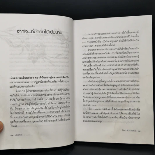 เปิดอกแม่ค้าพลอย - มณิขจิต รูปที่ 11