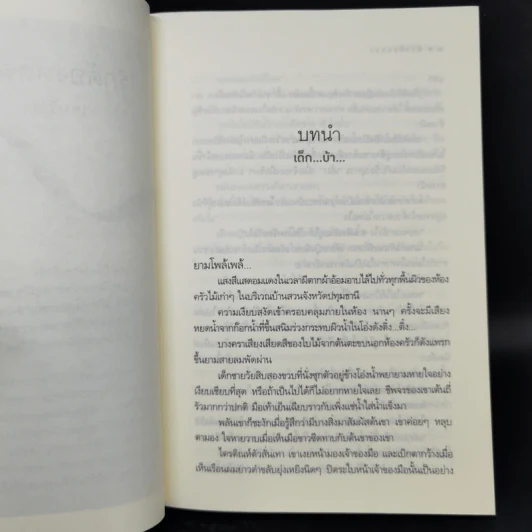 วิวาห์สนธยา - เชอริณ (อิสย่าห์) รูปที่ 9