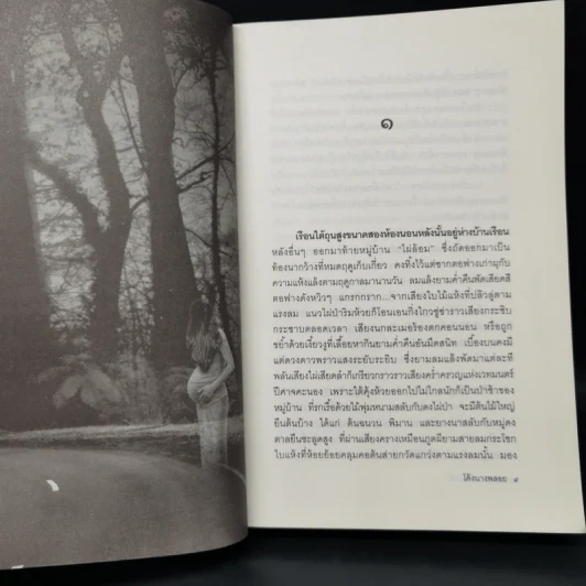 โค้งนางพลอย - มนตรา เริงเวทย์ รูปที่ 9