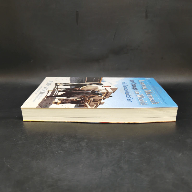ลาไมโครซอฟต์มาช่วยโลก - John Wood รูปที่ 5