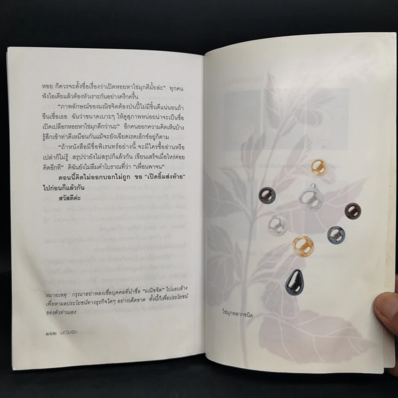 เปิดอกแม่ค้าพลอย - มณิขจิต รูปที่ 13
