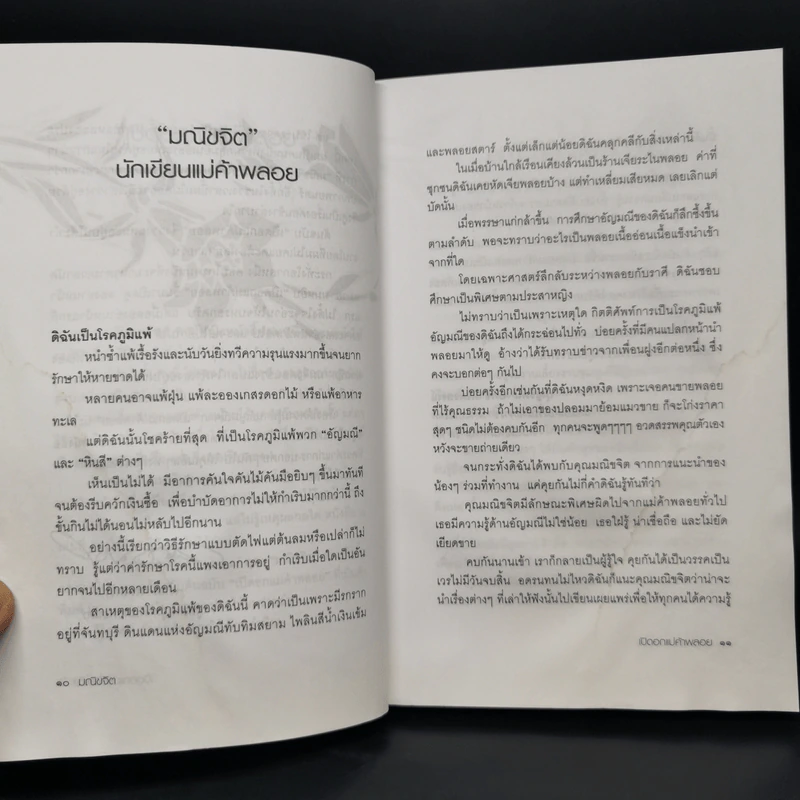 เปิดอกแม่ค้าพลอย - มณิขจิต รูปที่ 10