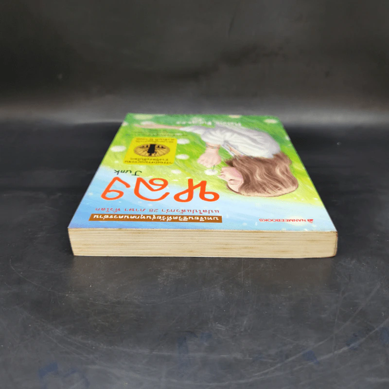 หลง Junk - Melvin Burgess รูปที่ 6