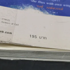 วิชาตัวเบา - คุณหญิงจำนงศรี หาญเจนลักษณ์ รูปที่ 11
