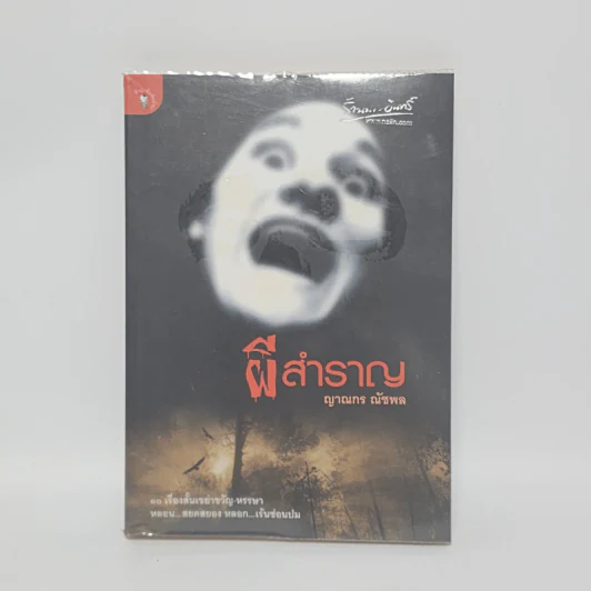 ผีสำราญ - ญาณกร ณัชพล รูปที่ 1