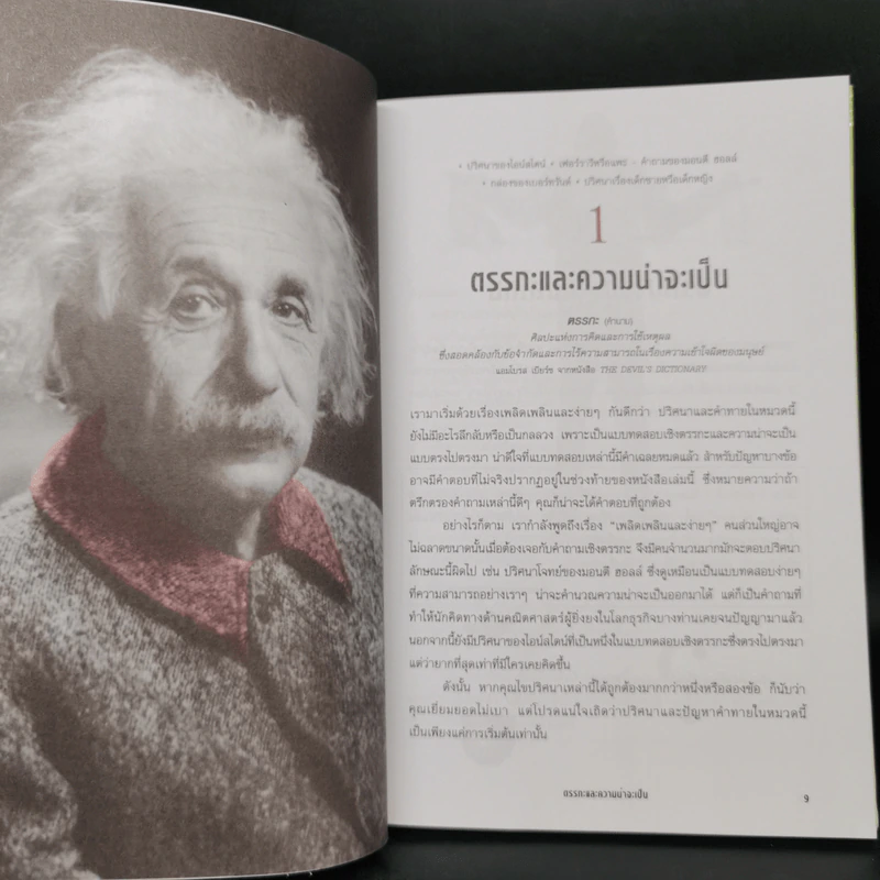 ไขสุดยอดปริศนา ปัญหาระดับโลก Einstein's Riddle รูปที่ 10