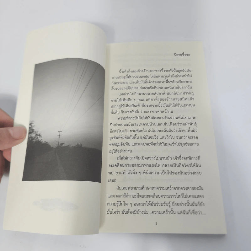 ชายผู้หันหลังให้พระจันทร์เป็นคนที่เจ็ด - อนันต์ เกษตรสินสมบัติ รูปที่ 8