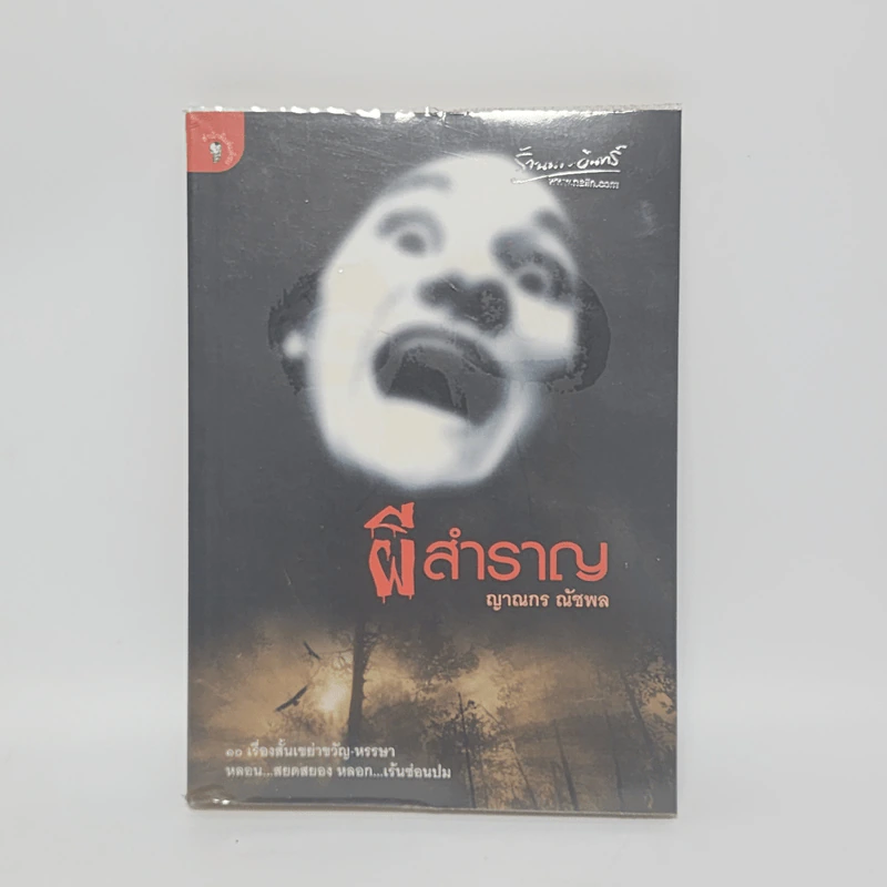 ผีสำราญ - ญาณกร ณัชพล รูปที่ 1