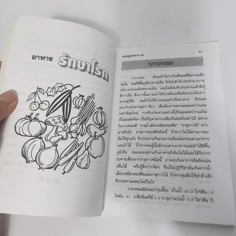 อาหารรักษาโรค - จำลอง พิศนาคะ รูปที่ 12