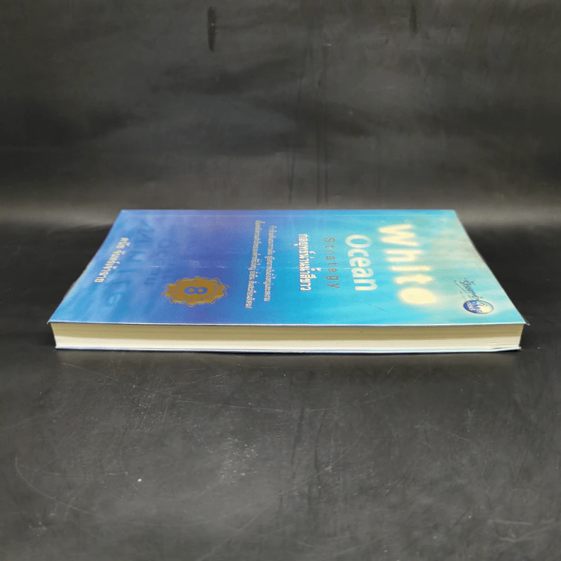White Ocean Strategy กลยุทธ์น่านน้ำสีขาว - ดนัย จันทร์เจ้าฉาย รูปที่ 5