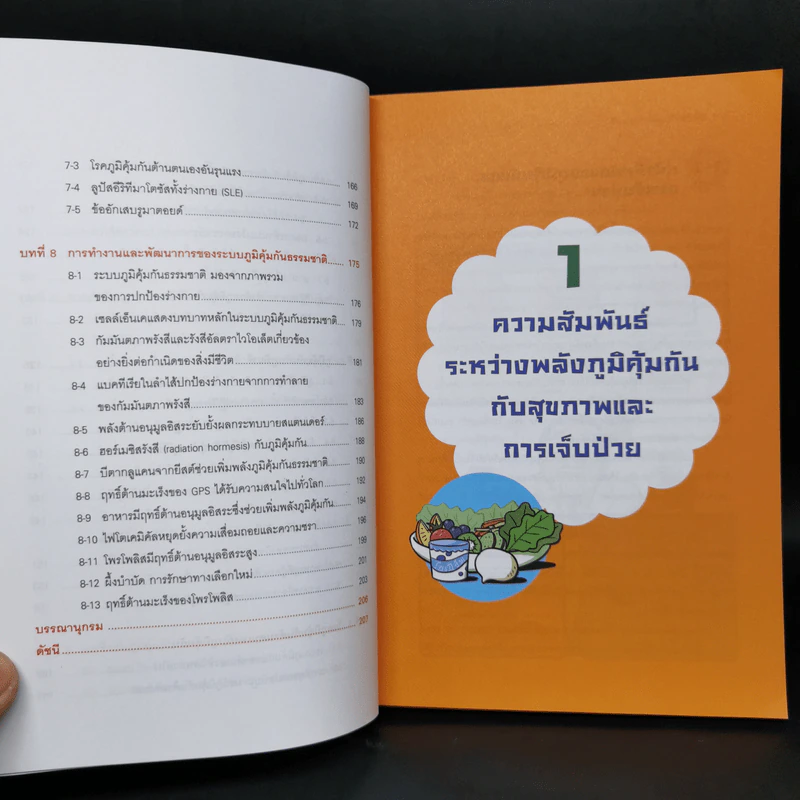 ภูมิคุ้มกัน บอดี้การ์ดส่วนตัว - Koichiro Fujita รูปที่ 12
