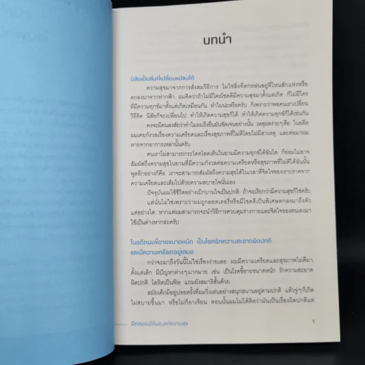 ฝึกสมองให้มองแต่ความสุข - เคนอิจิโร่ โมจิ รูปที่ 11