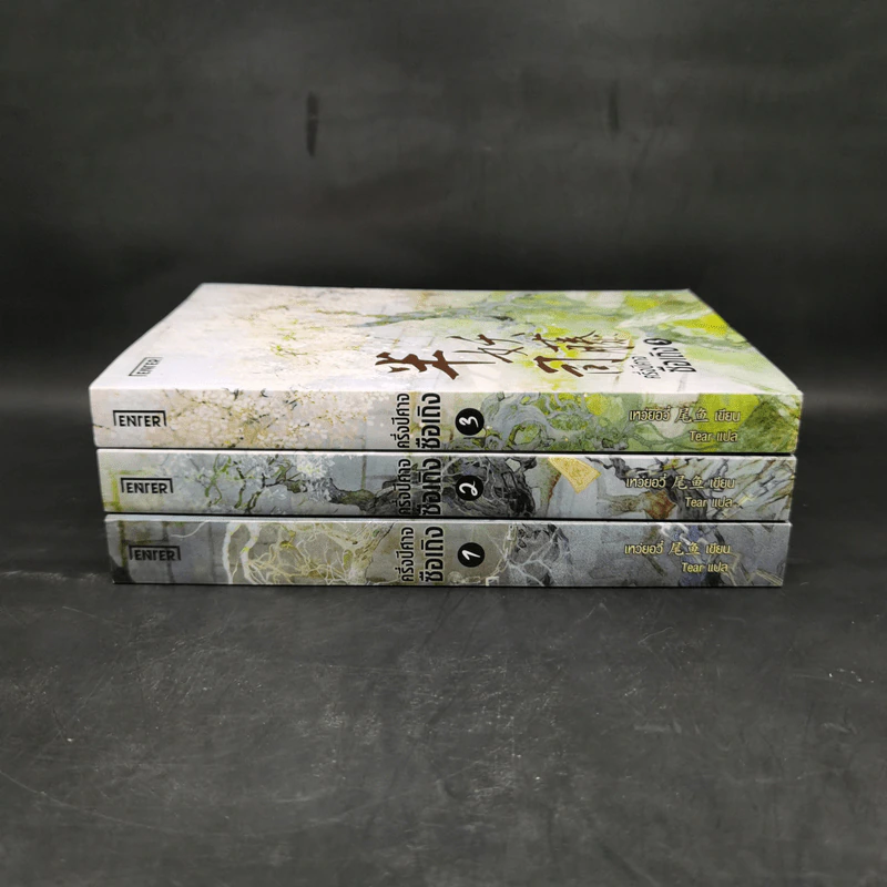 ครึ่งปีศาจซือเถิง 3 เล่มจบ - Wei Yu (เวย หยวน) รูปที่ 2