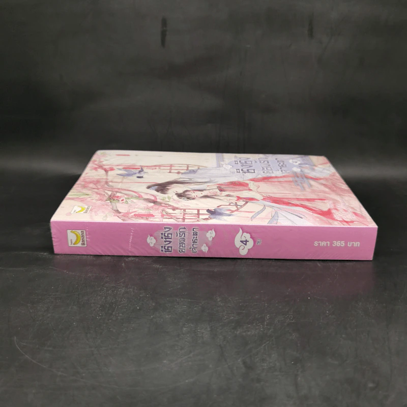 ชิงชิง ยอดรักเจ้าชะตา เล่ม 4 - Xin Yong Ka รูปที่ 3