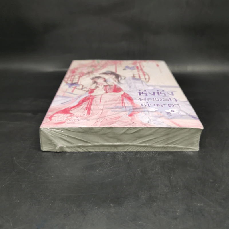 ชิงชิง ยอดรักเจ้าชะตา เล่ม 4 - Xin Yong Ka รูปที่ 4