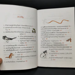 นิทานสัตว์มหัศจรรย์ 30 เรื่อง - Longhorn Beetle รูปที่ 5