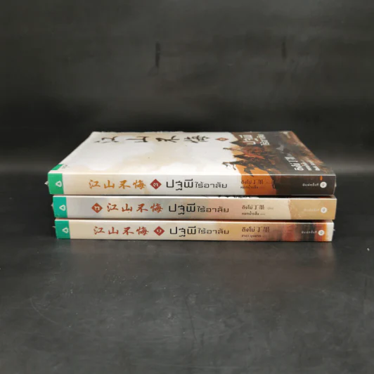 ปฐพีไร้อาลัย 3 เล่มจบ - ติงโม่ (Ding Mo) รูปที่ 3