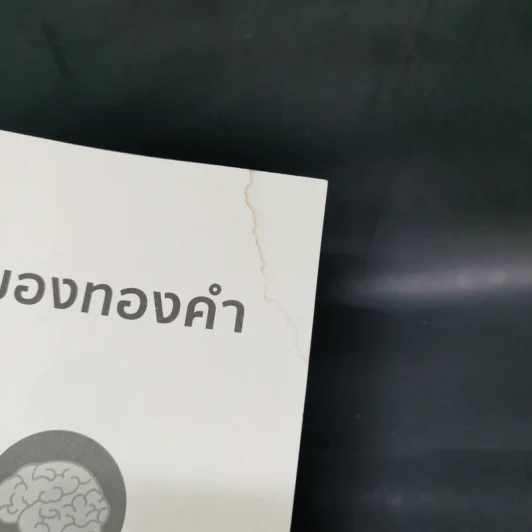 สมองทองคำ - ขุนเขา สินธุเสน เขจรบุตร รูปที่ 4