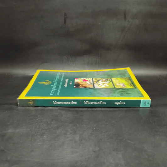 สารานุกรมไทยสำหรับเยาวชน  ฉบับเสริมการเรียนรู้ เล่ม 1 ไม้ดอกหอมของไทย, ไม้ในวรรณคดีไทย, สมุนไพร รูปที่ 3